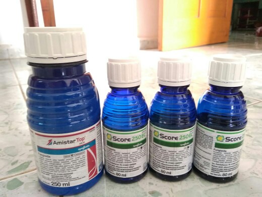 Amistartop 325sc 250ml