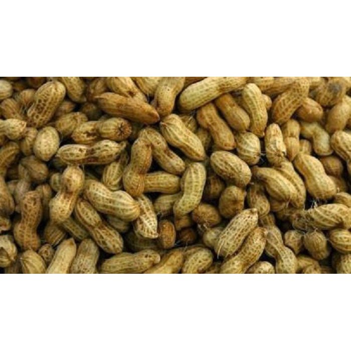Kacang Tanah Rebus 500gr Makmurabadi Sayuran Shopee Indonesia