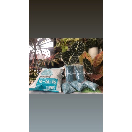 PUPUK MUTIARA NPK 16-16-16