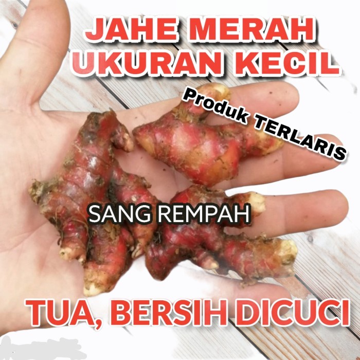 

tradisional-minuman- jahe merah murah ukuran kecil -minuman-tradisional.