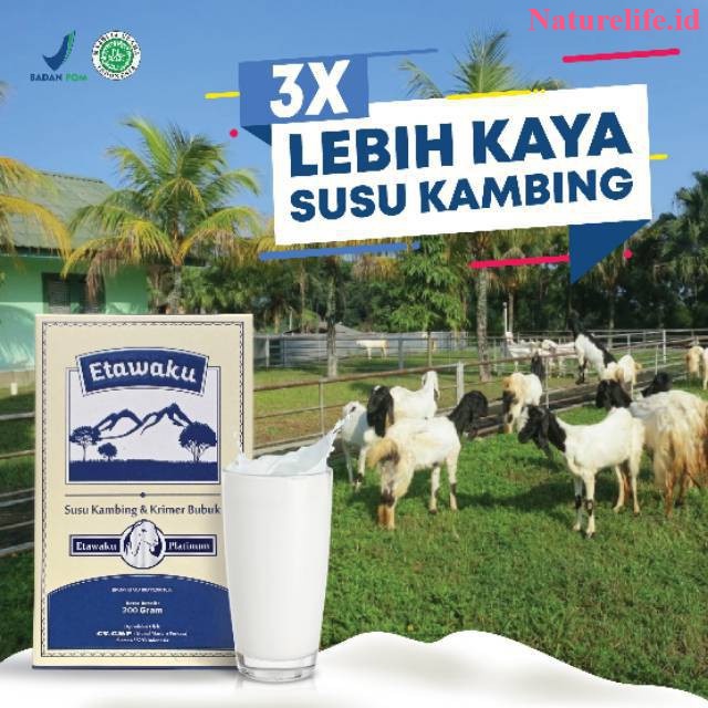 

ETAWAKU PLATINUM Susu Etawa Kambing Provit Murni Untuk Gangguan Pernapasan Asma Bronkitis Pneumonia Bersertifikasi Halal dan BPOM