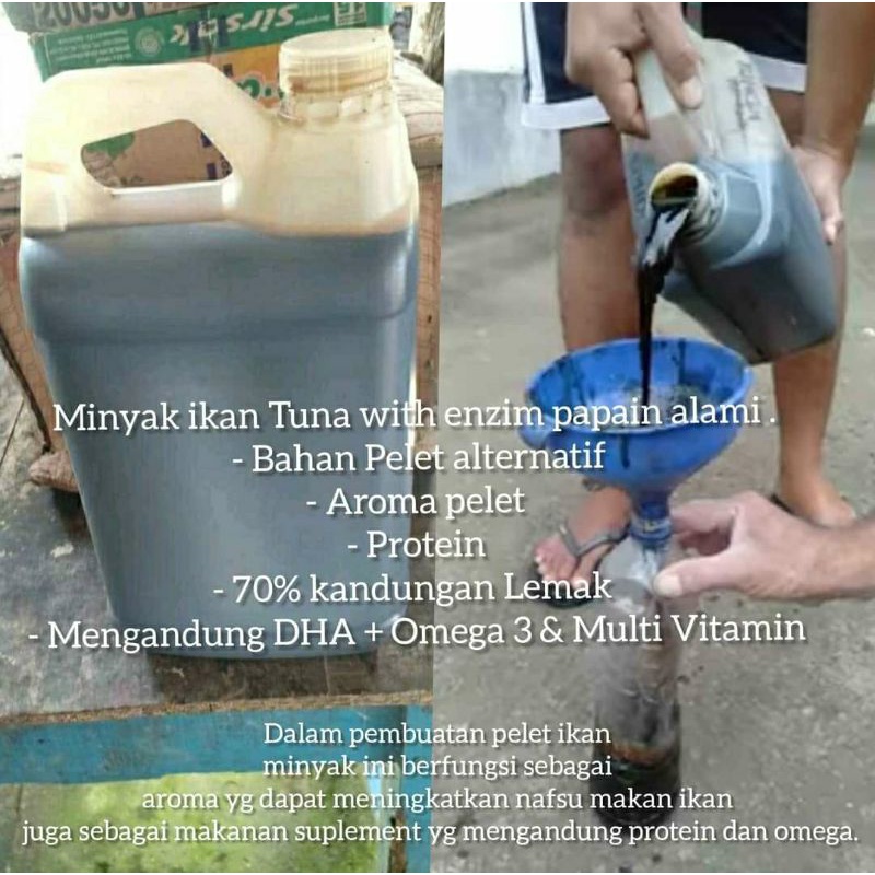 MINYAK IKAN TUNA # Minyak ikan # Minyak tuna  # Tuna fish Oil