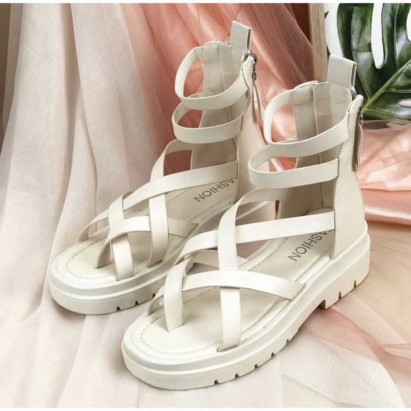 wedges n2117 import realpict