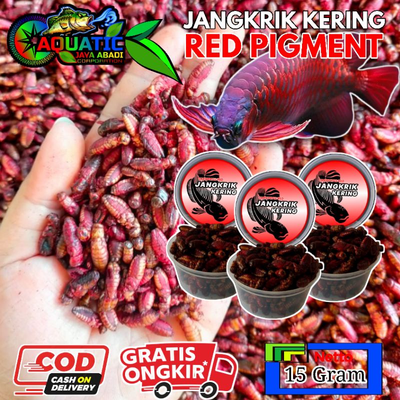Jangkrik Kering Red 15 Gram Pakan Channa Louhan Arwana