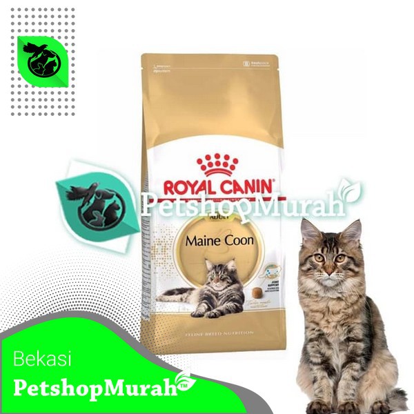 Cat Food / Makanan Kucing Royal Canin Adult Maine Coon 400 Gram