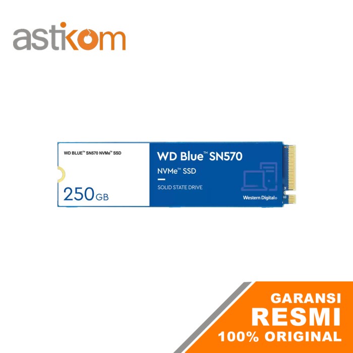 SSD WD Blue SN570 250GB NVMe M.2 2280 3300 Mb/s WDS250G3B0C