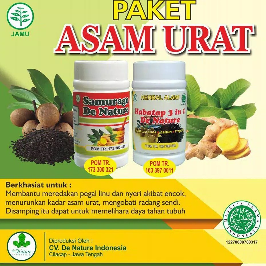 

Obat Herbal Asam Urat, pegel linu, kesemutan, rheumatik