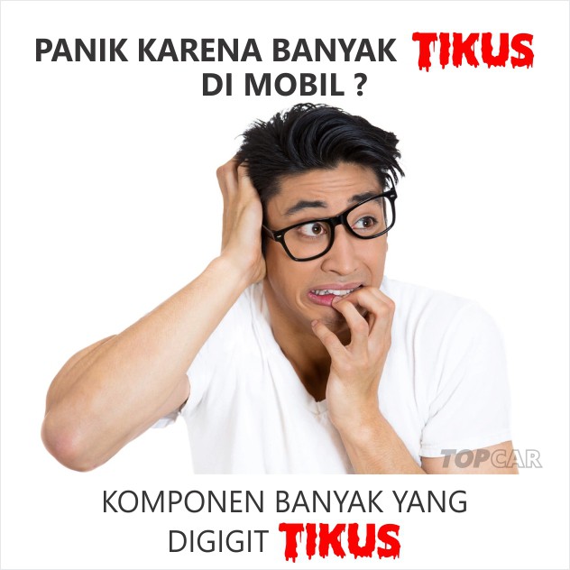 Pengusir Tikus Mobil PAKET 3 BTL