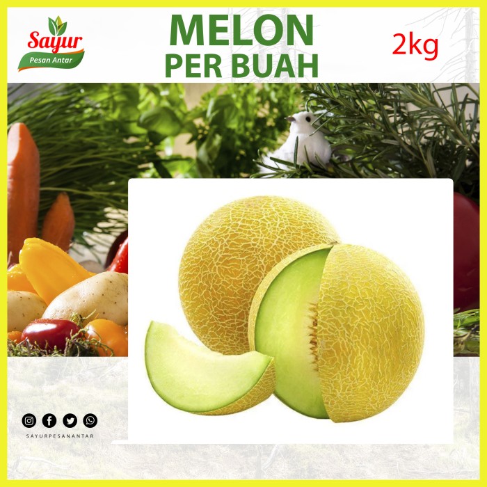 

Melon per buah (1,5 - 1,7 kg)