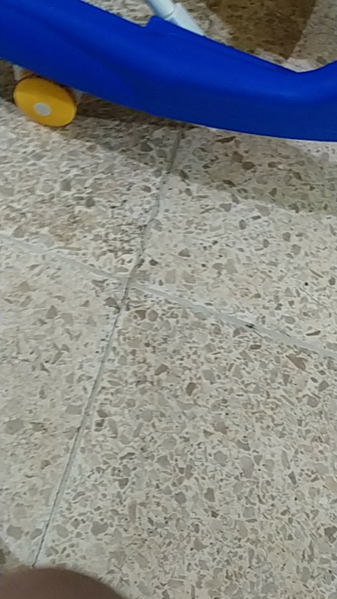 Kapur Barus Sea Gull 25gr X 6 Bungkus - Pengharum Lemari Dan Kamar Mandi - Hhl-260