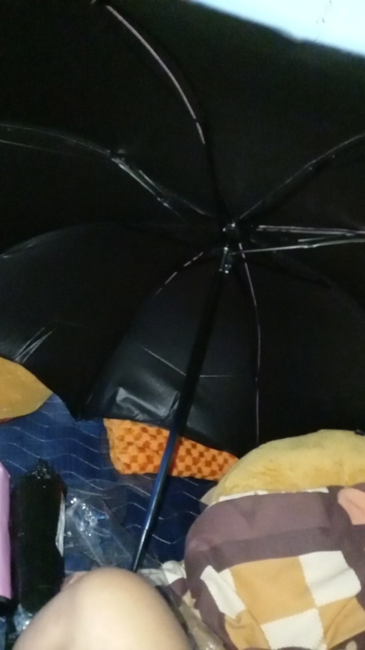 Payung Lipat 3d Umbrella Payung Bermotif Jika Kena Air