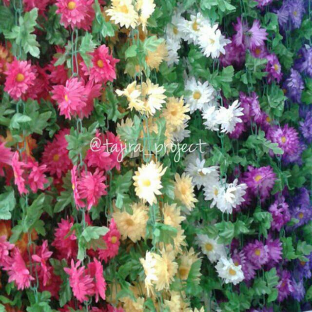 Jual Bunga Rambat/ Daun Rambat /tanaman Rambat /shabby Chic/ Bunga ...