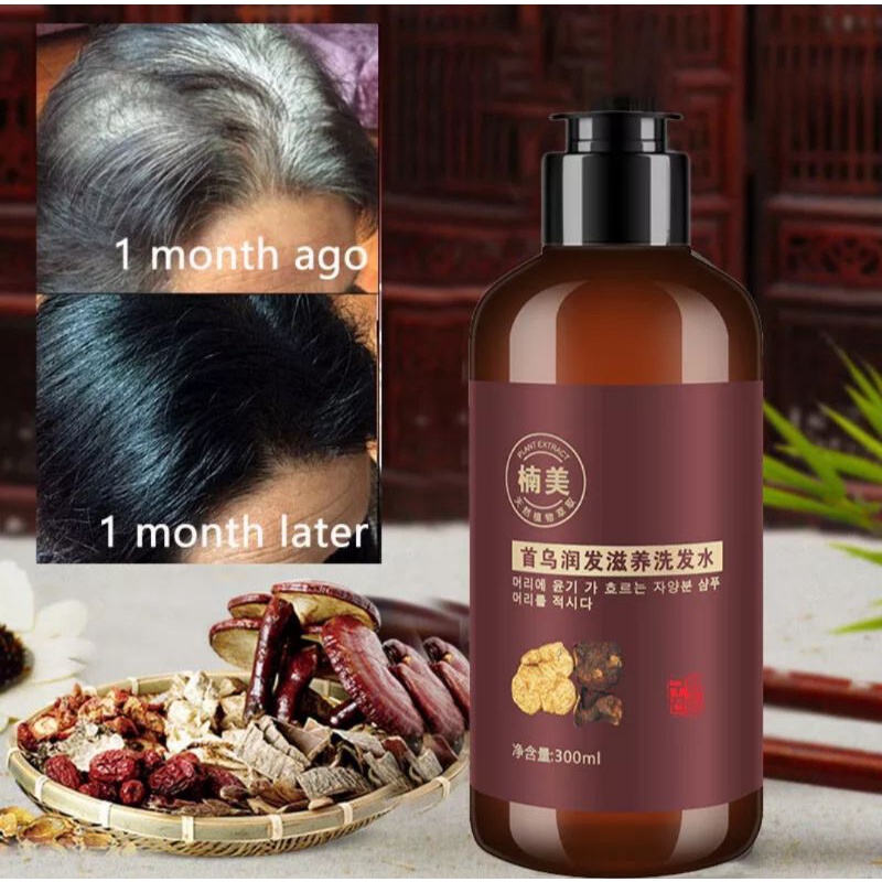 Shampoo Penghitam Rambut Uban Natural Polygonum MultiflorumShine Activ-Infusion Rambut Hitam Berkilau Dengan UrangAring 300ml