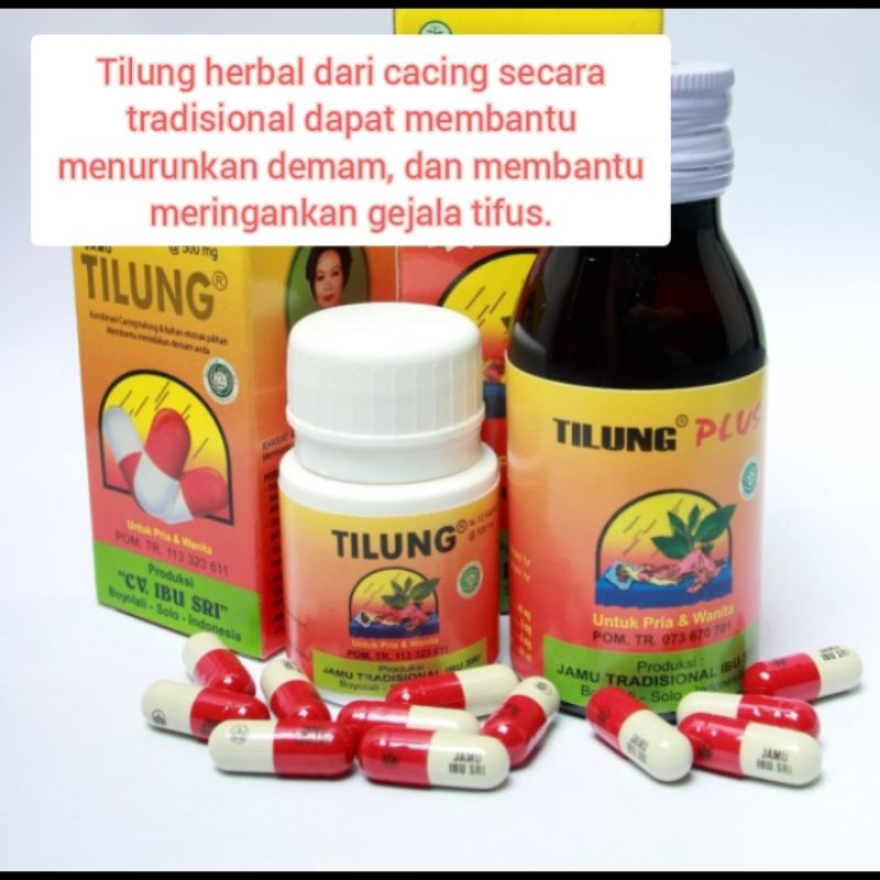 Tilung kapsul cacing untuk herbal demam tipes