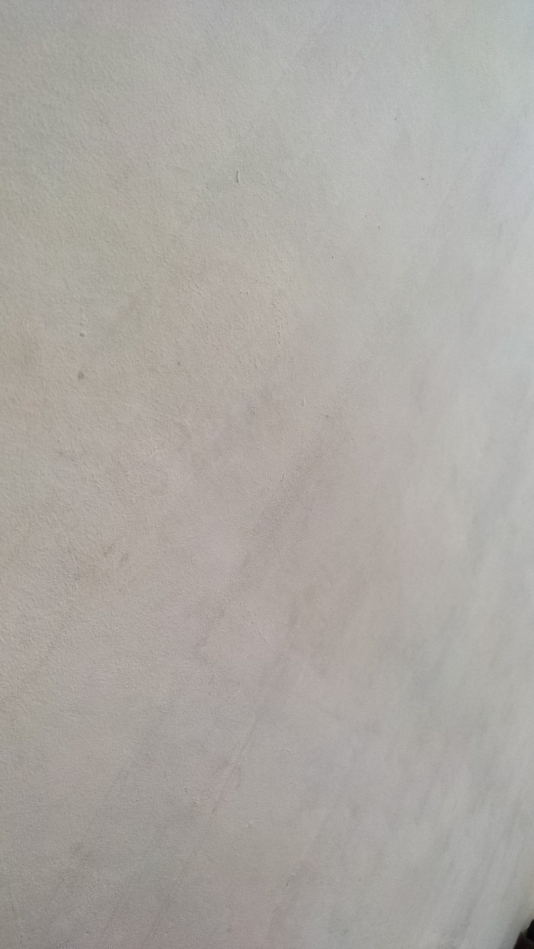 Obat Pembersih Jamur Kaca Mobil Cairan Penghilang Kerak Serbaguna