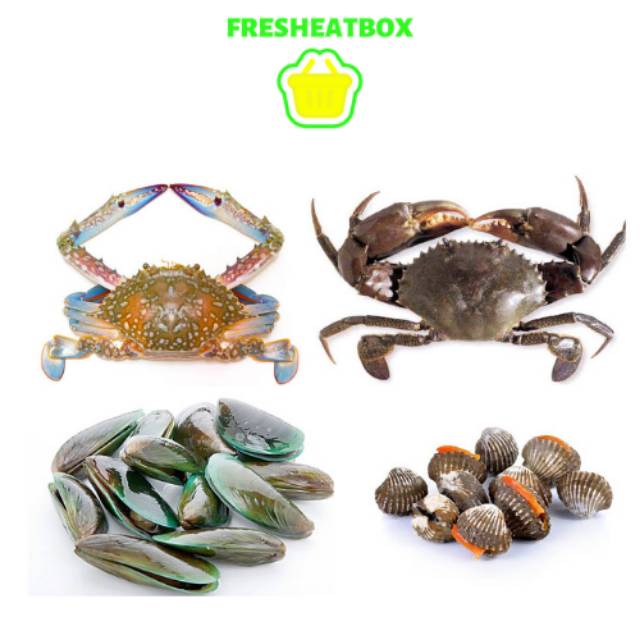 

Seafood Kepiting Bakau, Rajungan, Kerang Darah, Kerang hijau Rp. 23.500