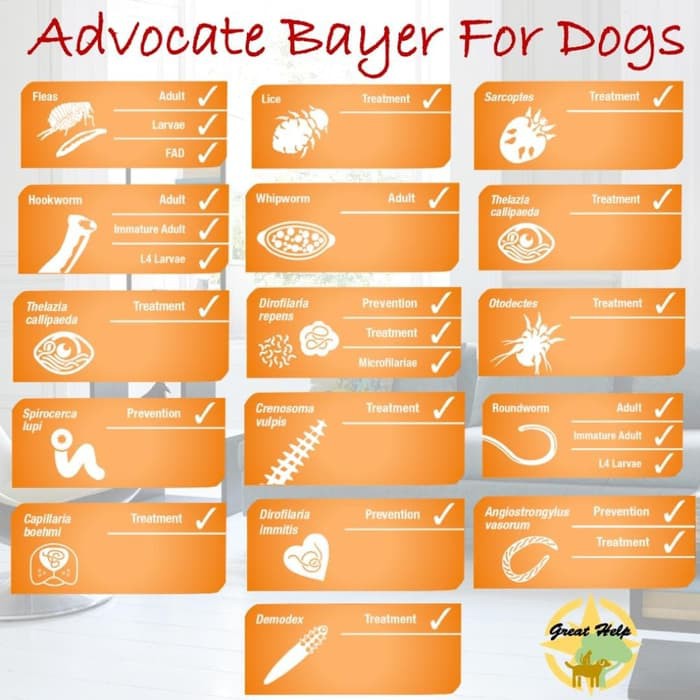 Advocate Dog Size L (per tube) - Obat Kutu 10kg-25kg