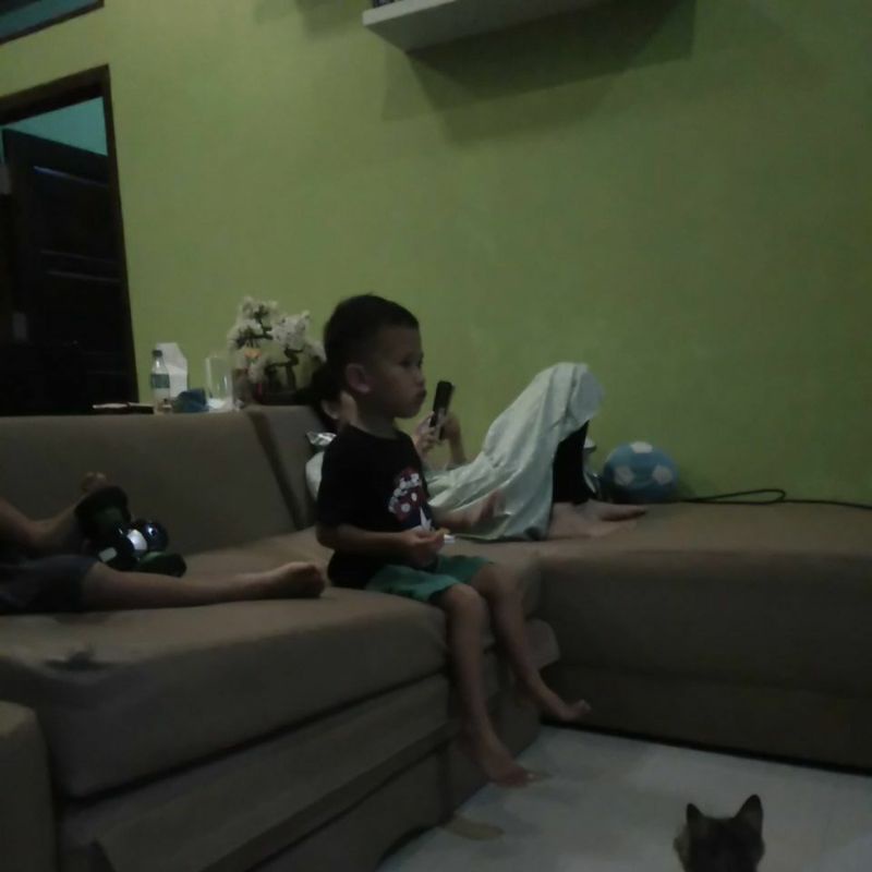 Pupuk Organik Ecofarming