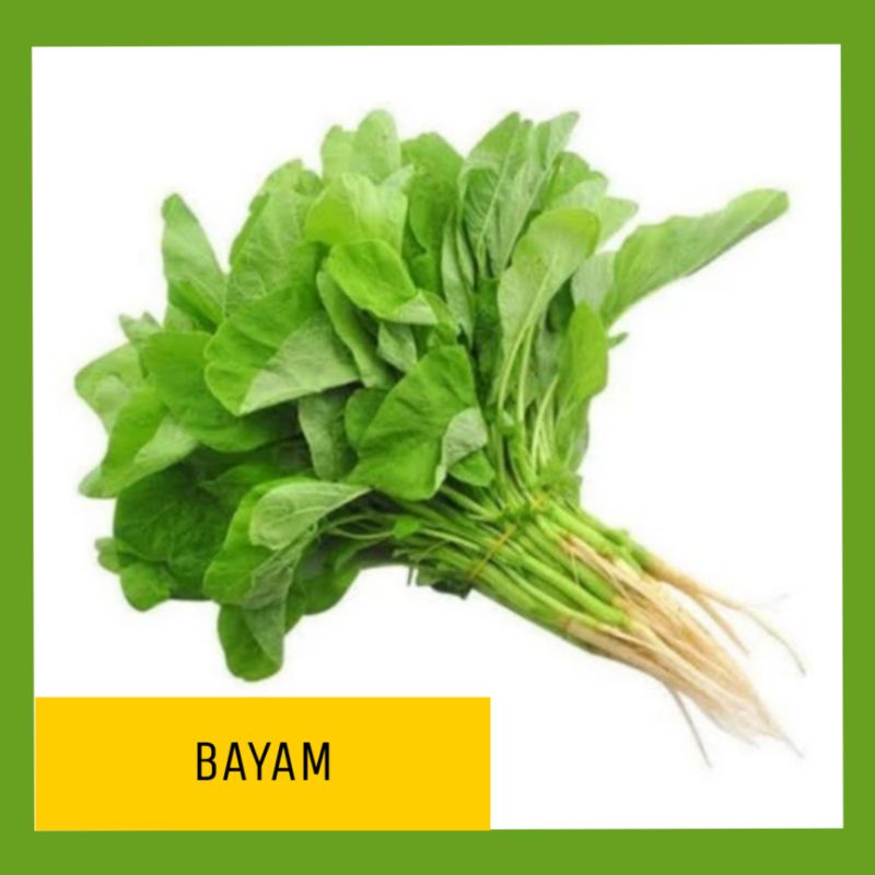 

BAYAM