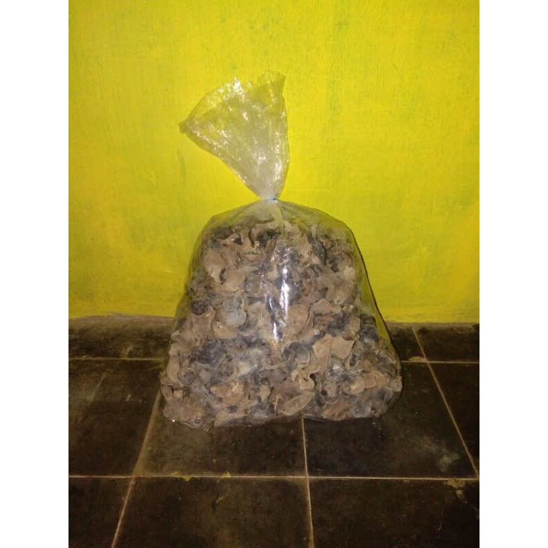 

Jamur Kuping Kering