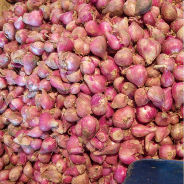

Bawang merah brebes asli