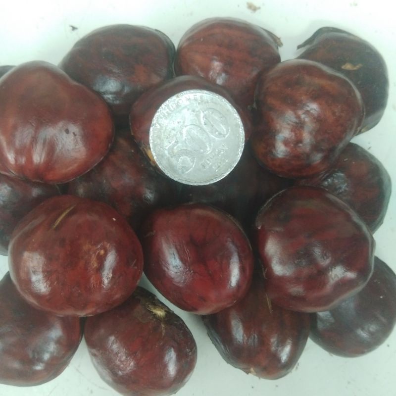 

jengkol rendang