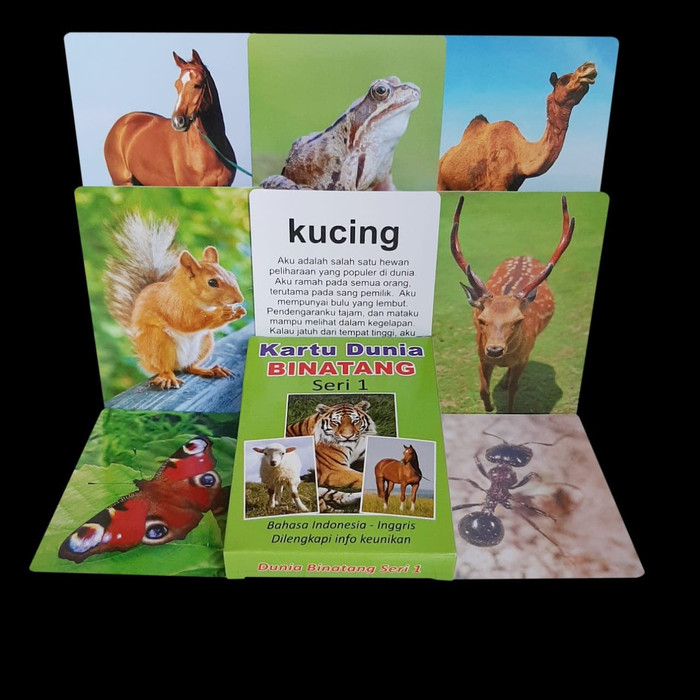Promo Kartu Binatang Seri 1 - Flash Card Bayi Murah Hewan Berkualitas