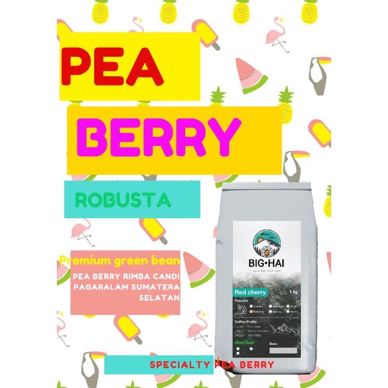 

Robusta Peaberry Green Beans (biji tunggal) premium 1kg - Big Hai Coffee - kopi robusta
