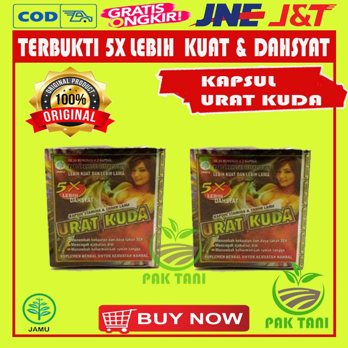 Kapsul Urat Kuda 5x Obat Herbal Pria Penambah Stamina Kekuatan PT75