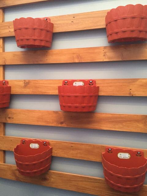 Pot Dinding Ebony 6359 Greenleaf