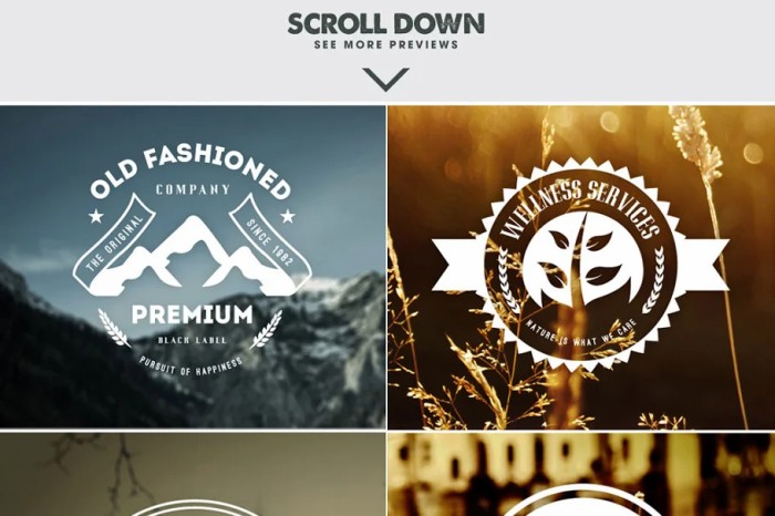 Mega Bundle 326 Vintage Logos Badges - Photoshop &amp; Illustrator