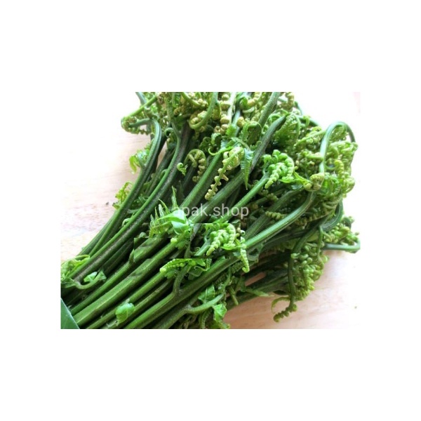

1 ikat Sayur Daun Pakis