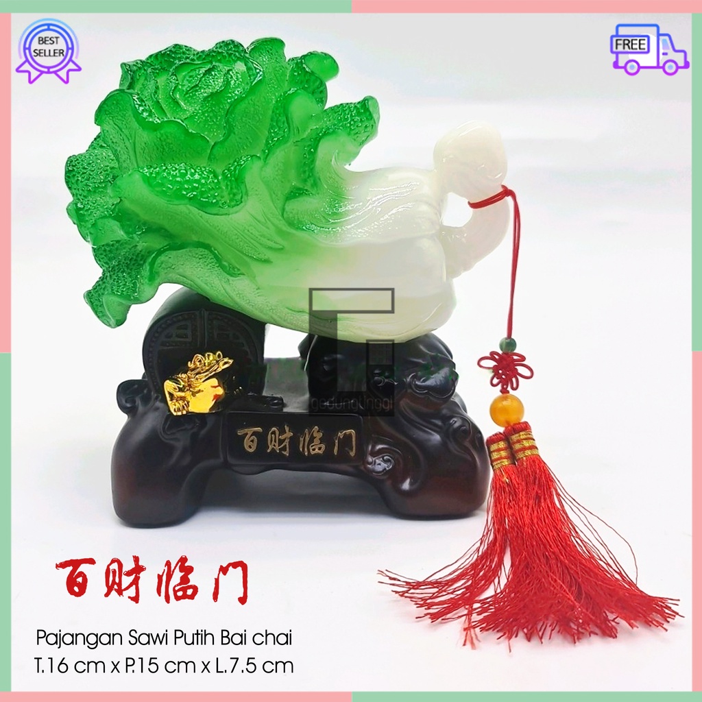 Pajangan Patung Hiasan Pohon Sawi Putih Baicai Baichai Bhaichai Emas Gold Gift Box Kotak Kaca Transparan Mika Akrilic Akrilik Kado Hadiah Simbol Fengshui Hoki Rejeki Uang Duit Lucky Keberuntungan Kekayaan Pindahan Rumah Toko Cafe Tempat Usaha Batu Resin