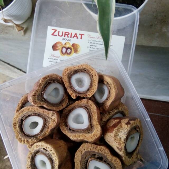 

ZURIAT DOUM mesir 500gram