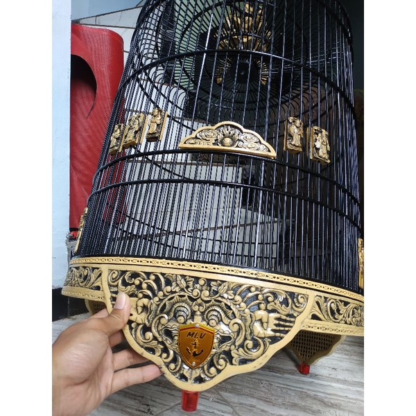 sangkar kandang murai batu / sangkar murai batu / kandang murai batu / sangkar burung / kandang bula