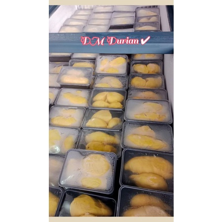 

DM Durian Montong Palu