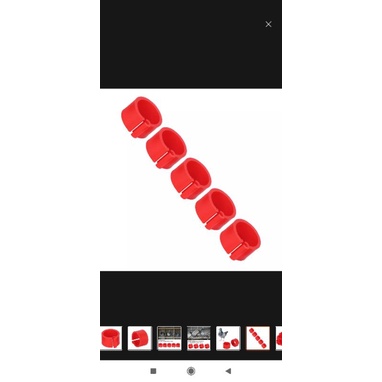 ring klip merpati dewasa