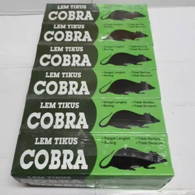 

Lem tikus cobra Lem tikus Lem murah Lem bagus