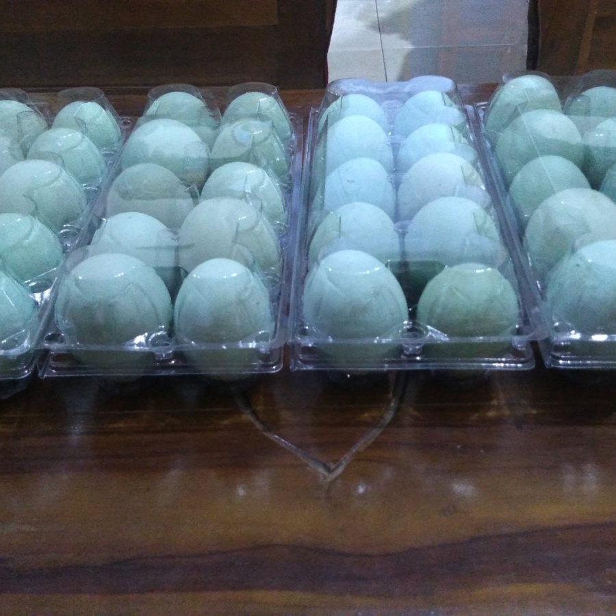 

Telur bebek omega plus per paket / telur bebek fresh langsung kandang