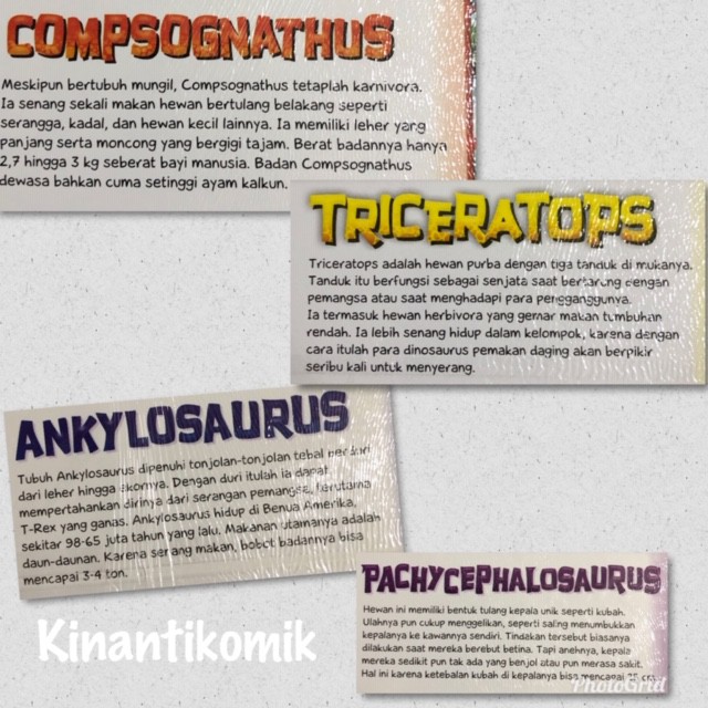 Seri Pengenalan Dinosaurus - Buku Cerita Anak - zikrul Kids