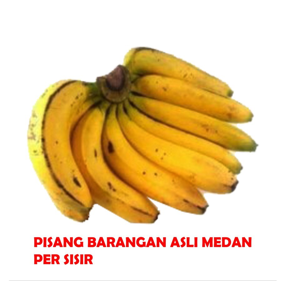 

PISANG BARANGAN ASLI MEDAN GRADE JUMBO (SATU SISIR)