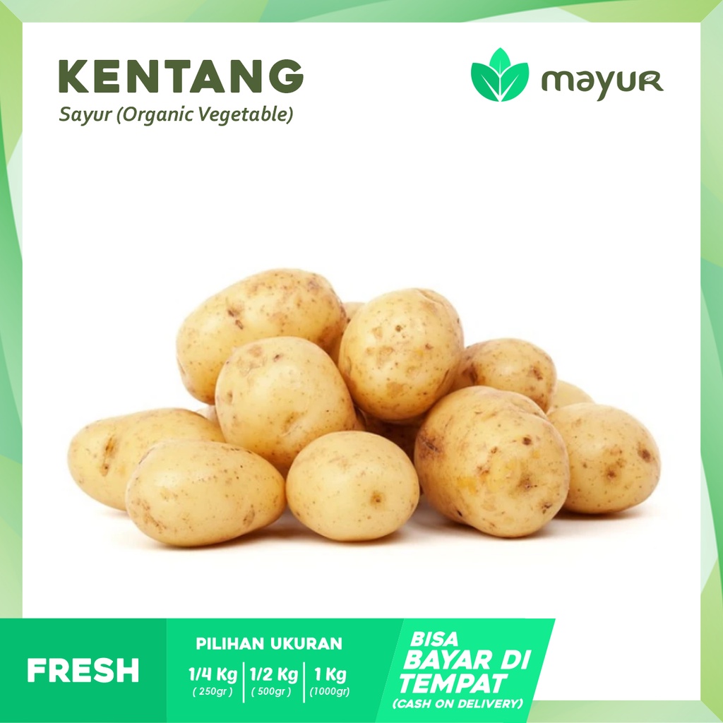 

Kentang Segar ( 250gr | 500gr | 1000 )