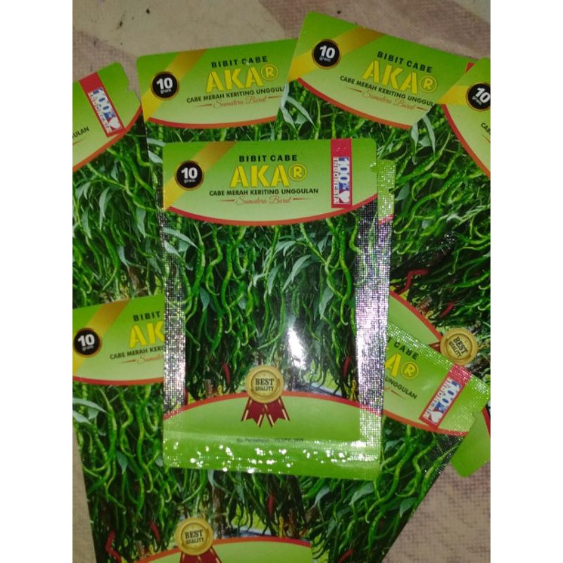 Bibit cabe merah keriting unggulan
