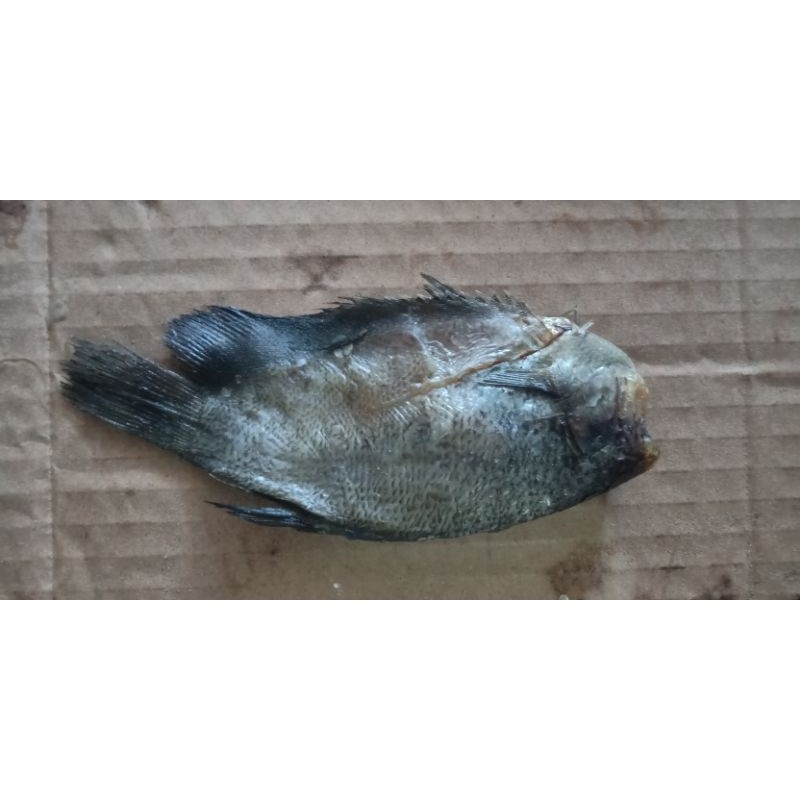 

Ikan Asin Sepat