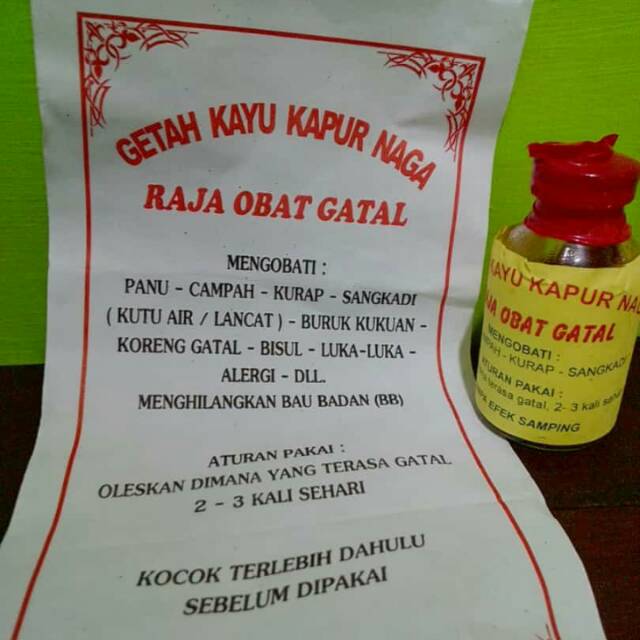 

Getah kayu kapur naga rajanya obat gatal khas kalimantan