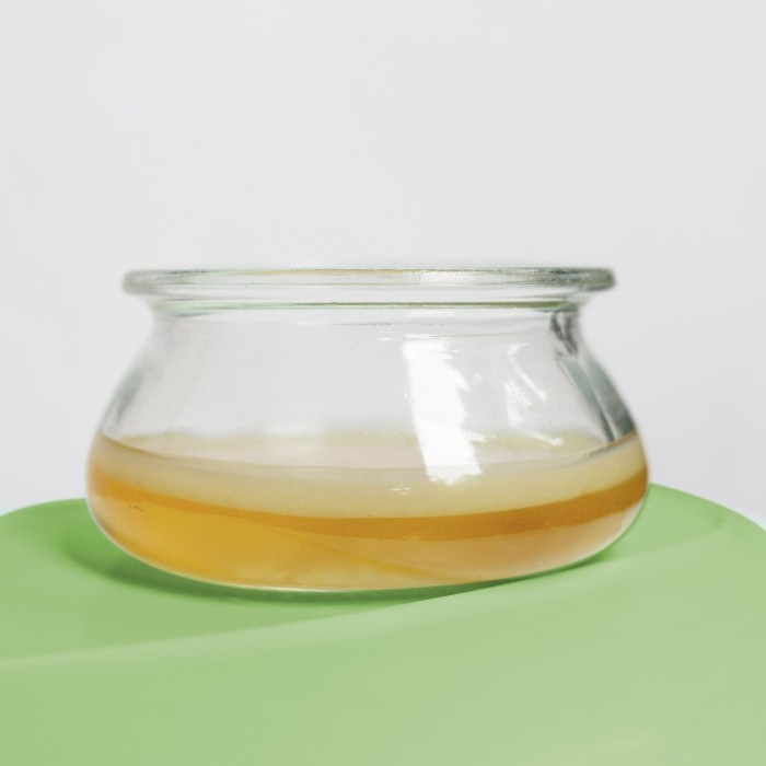 

TEH-DAUN- SCOBY BIBIT SUPER KOMBUCHA, JAMUR TEH TEBAL, KOMBUCHA MAMAH -DAUN-TEH.