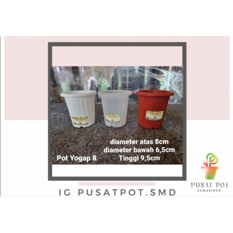 yogap tanaman tinggi yogap 8