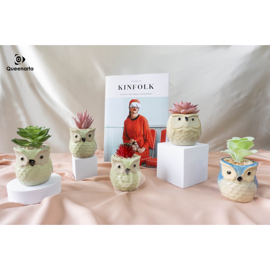Queenarta Sukulen Mini Jenis Tanaman Kaktus dan Bunga Hias Plastik Pot Keramik Owl Buat Dekorasi Rum
