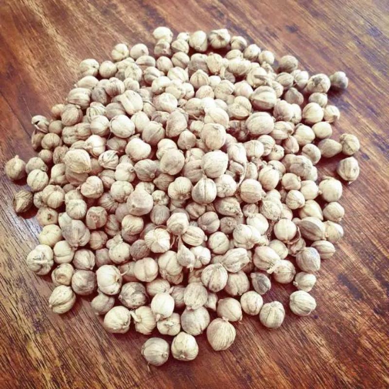 

kapulaga / kapulaga kering 10g / kapolaga herbal