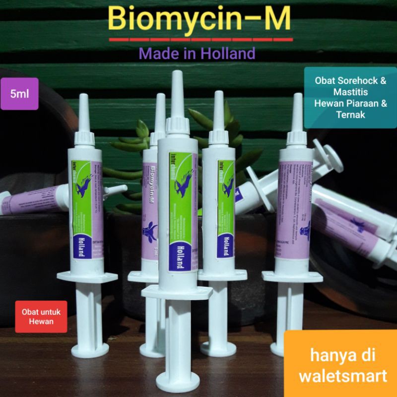 Biomycin - M Obat Sorehock & Mastitis Masa Laktasi pada Sapi Kambing Kelinci Kucing Anjing dan CIL